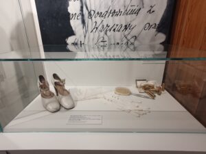 pielęgnacja włosów, szampony, odżywki, szczotki